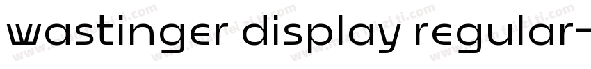 wastinger display regular字体转换